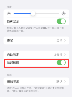 巴彦淖尔苹果授权维修站分享iPhone轻点无法唤醒怎么办