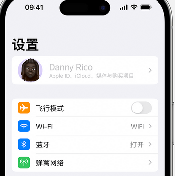 巴彦淖尔appleID维修服务iPhone设置中Apple ID显示为灰色无法使用 