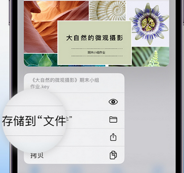 巴彦淖尔apple维修中心分享iPhone文件应用中存储和找到下载文件