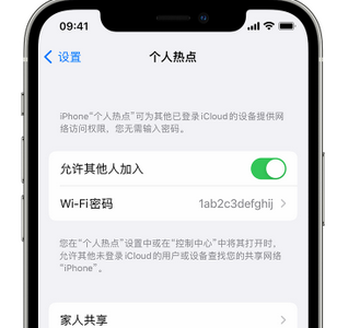 巴彦淖尔apple服务站点分享iPhone上个人热点丢失了怎么办 