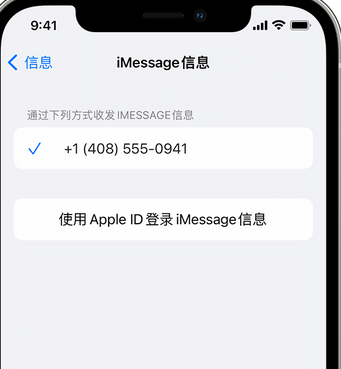 巴彦淖尔apple维修iPhone上无法正常发送iMessage信息 