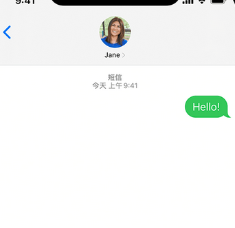 巴彦淖尔apple维修iPhone上无法正常发送iMessage信息