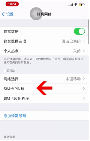 巴彦淖尔苹果14维修网分享如何给iPhone14的SIM卡设置密码 