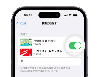 巴彦淖尔apple维修点分享iPhone上更换Apple Pay快捷交通卡手绘卡面 