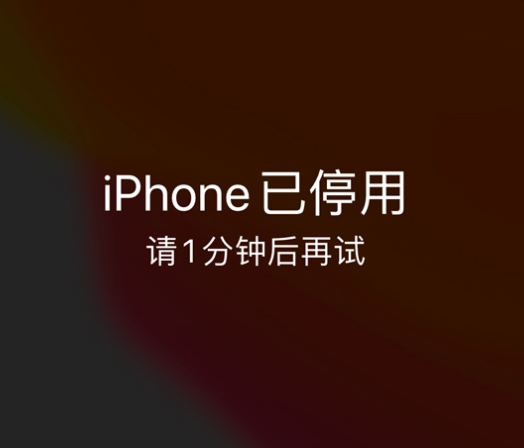 巴彦淖尔苹果手机维修分享:iPhone 显示“不可用”或“已停用”怎么办？还能保留数据吗？ 