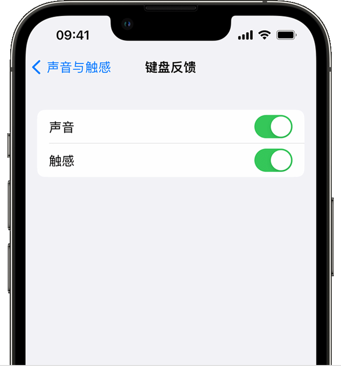 巴彦淖尔苹果14维修店分享如何在 iPhone 14 机型中使用触感键盘 