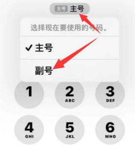 巴彦淖尔苹果14维修店分享iPhone 14 Pro Max使用副卡打电话的方法 