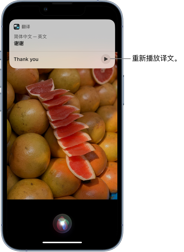 巴彦淖尔苹果14维修分享 iPhone 14 机型中使用 Siri：了解 Siri 能帮你做什么 