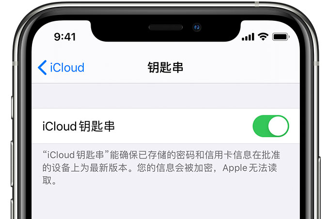 巴彦淖尔苹果手机维修分享在 iPhone 上开启 iCloud 钥匙串之后会储存哪些信息 